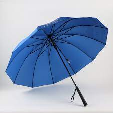 Umbrella -  Henle - Blue
